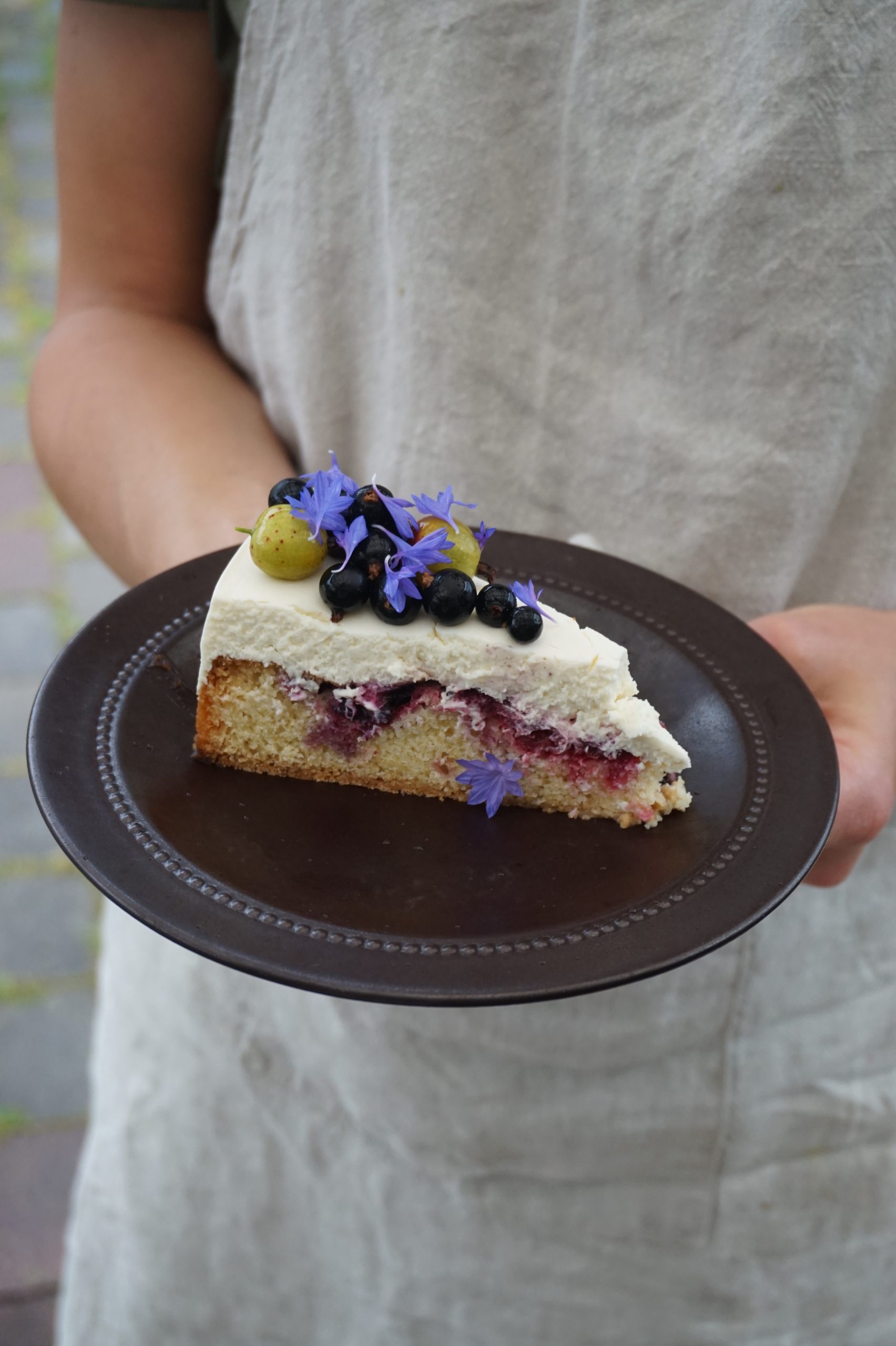 Cake slice with berries on brown plate