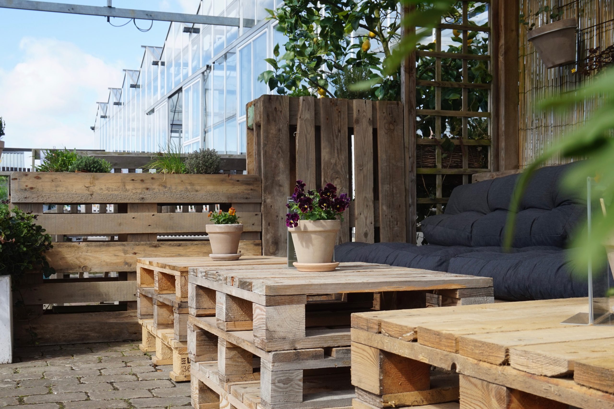 BOTANISK atmosfär